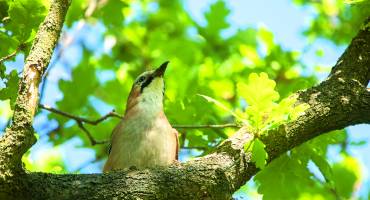 Kijk, geniet & bewonder......<br />BELEEF DE NATUUR! Wat zie ik precies?