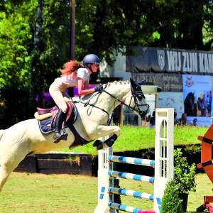 Paardenliefhebbers naar Hippisch Centrum voor Almelose Ruiterdagen