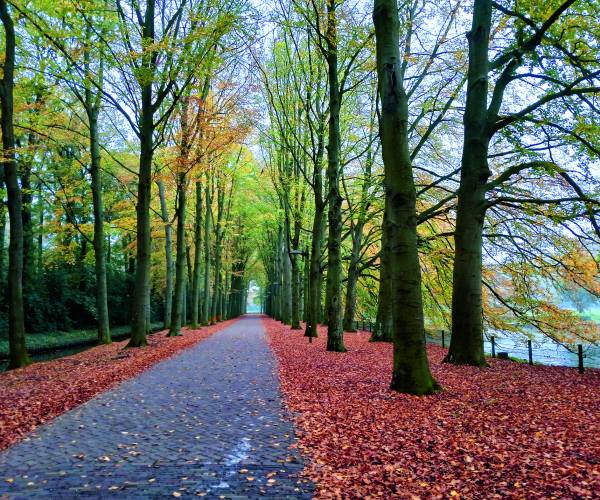 Al wandelend genieten van al het moois in Almelo