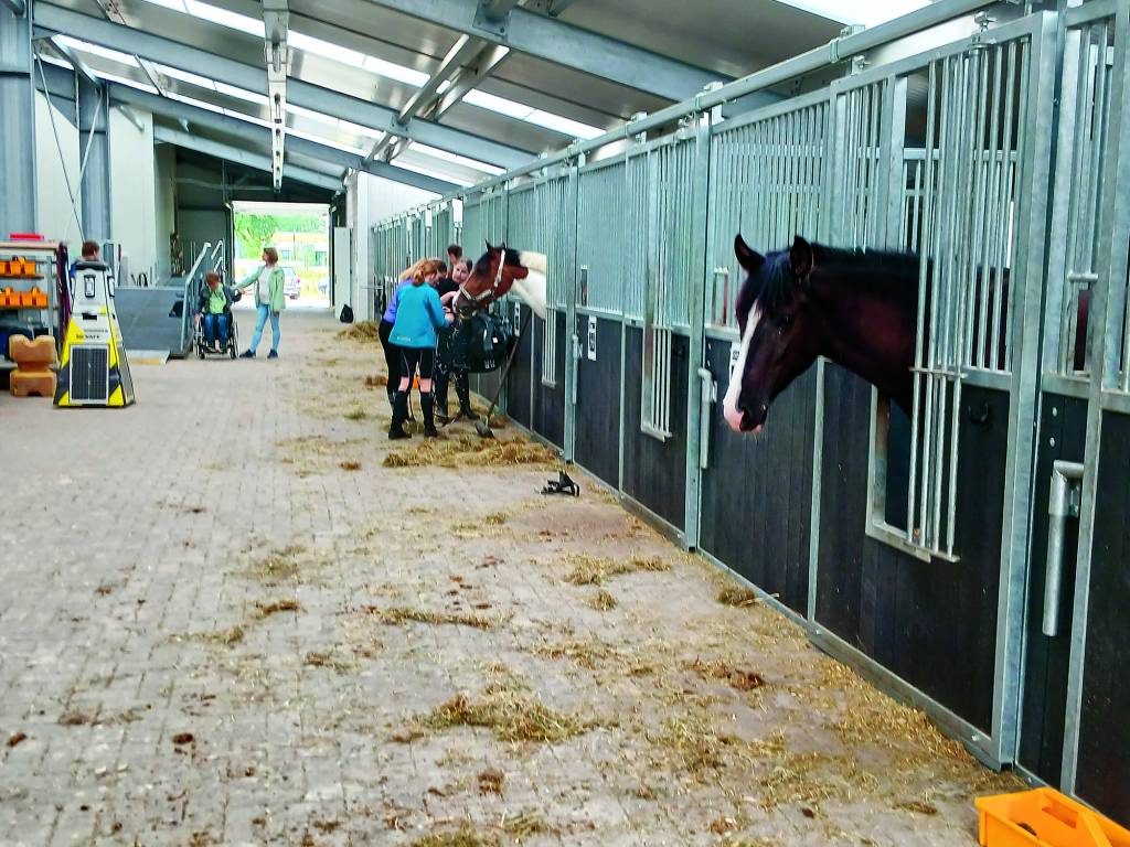 De paarden hebben in de stallen hun nieuwe plek gevonden.