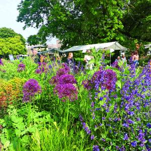 Inwoners Almelo helpen vlinders en bijen met waardplantenactie van Groene Loper