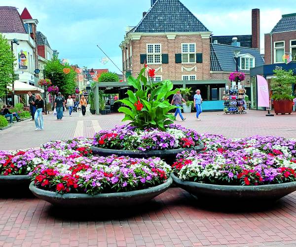 De bloemen heten u van harte welkom in Almelo