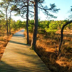 Wandeling over de Umfassungsweg