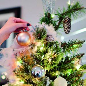 Nordmann Kerstbomen aan huis bezorgd