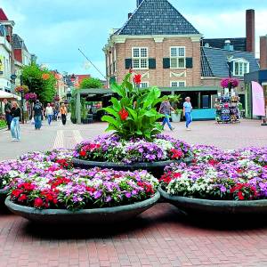 De bloemen heten u van harte welkom in Almelo