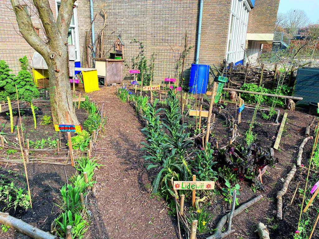 De tuin waar de leerlingen van de Montessorischool zelf een en ander verbouwen.